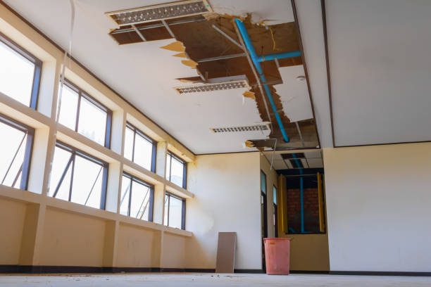 Best Water damage contractors near me  in Sawmills, NC