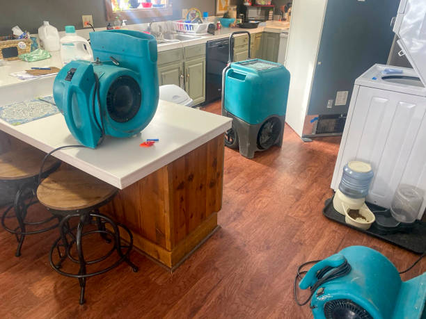 Best Water damage restoration company  in Sawmills, NC