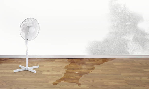 Water damage restoration mold remediation in Sawmills, NC
