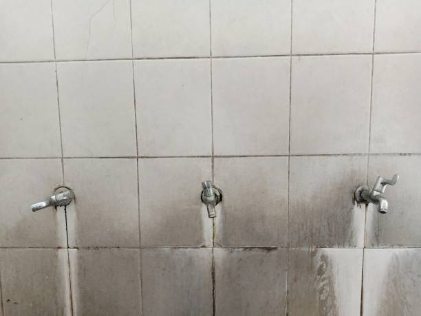 Best Water damage restoration near me  in Sawmills, NC